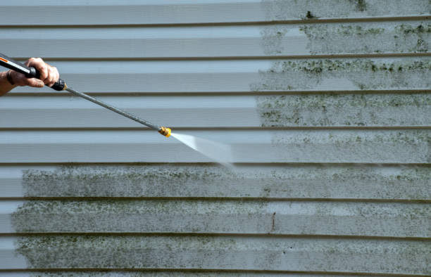 Best Gutter Cleaning  in Pulaski, VA