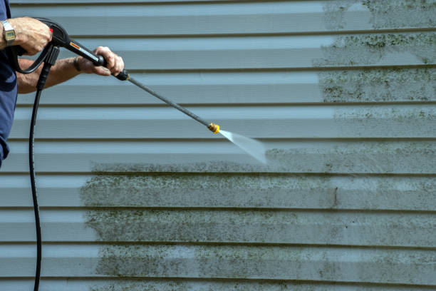 Best Roof Washing  in Pulaski, VA